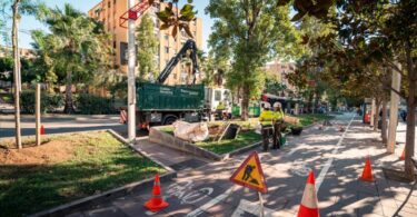 Barcelona planta su futuro verde pese a la sequía