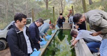 Zoo de Barcelona y Baleares refuerzan la protección de especies amenazadas