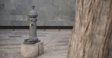 Mejoras en las fuentes de agua potable