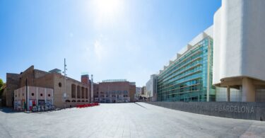 Obras en la plaza dels Àngels