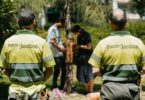 Se instalan un centenar de nidos para abejas silvestres en 25 parques de la ciudad