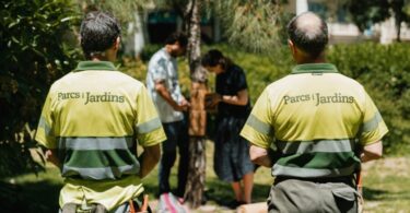 Se instalan un centenar de nidos para abejas silvestres en 25 parques de la ciudad
