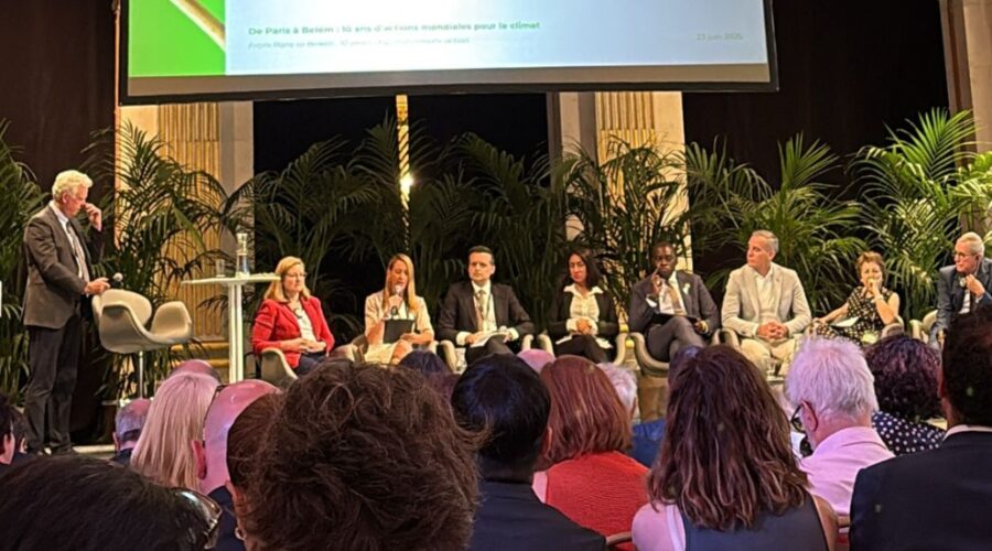 cumbre con motivo del 10 aniversario del Acuerdo de París