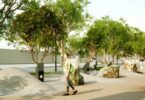 Empiezan las obras del Jardín Geológico de la Zona Universitaria