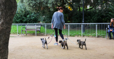 reducir conductas incívicas en las áreas de perros