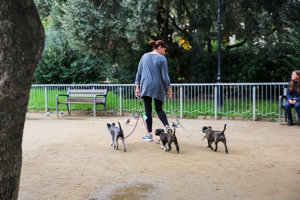 reducir conductas incívicas en las áreas de perros