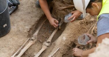 restos óseos del antiguo cementerio del Hospital de la Santa Cruz