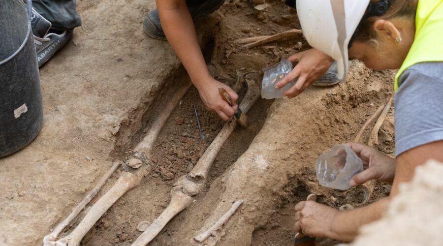 restos óseos del antiguo cementerio del Hospital de la Santa Cruz