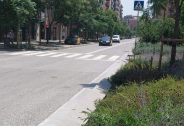 Abre la calle Pi i Margall con un pavimento de la calzada central más resistente