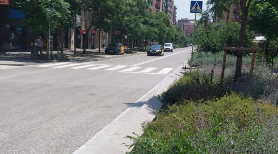 Abre la calle Pi i Margall con un pavimento de la calzada central más resistente
