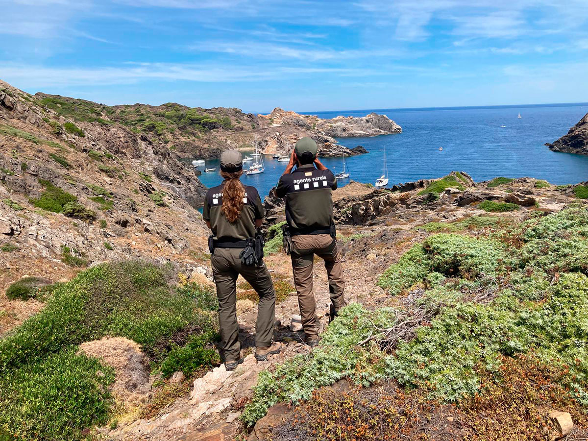 Cámaras con IA en el Cap de Creus