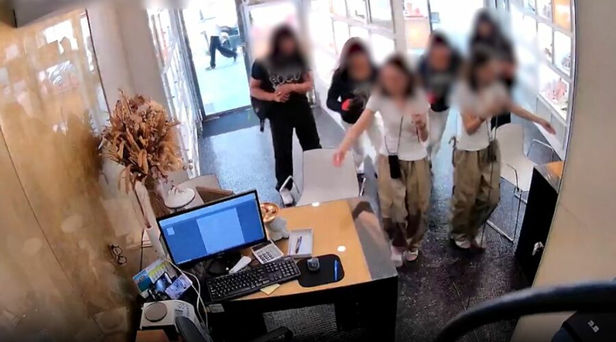 Detenidos in fraganti dos ladrones disfrazados de mujer en un robo con intimidación