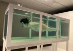 Museu de l'Art Prohibit 3