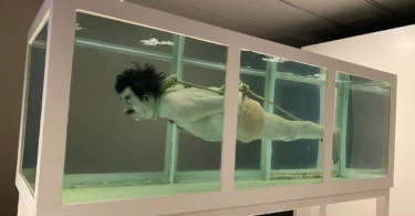 Museu de l'Art Prohibit 3