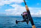 modelo de pesca sostenible