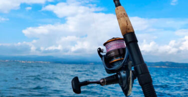 modelo de pesca sostenible