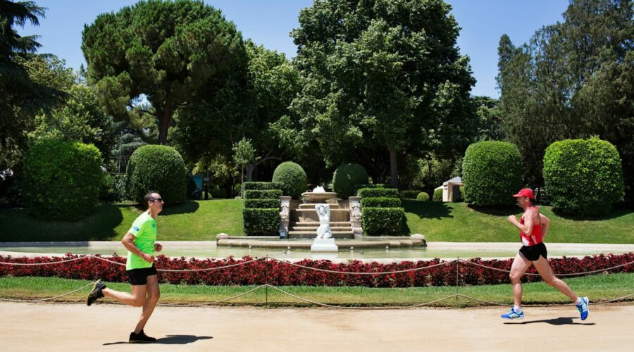 La esperanza de vida y la mortalidad