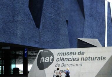 actividades para despertar la curiosidad científica de los niños y niñas