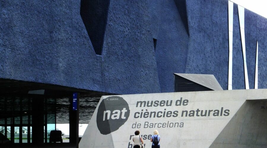 actividades para despertar la curiosidad científica de los niños y niñas