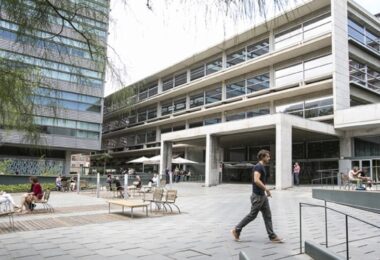 incentivar el comercio local y generar empleo de calidad