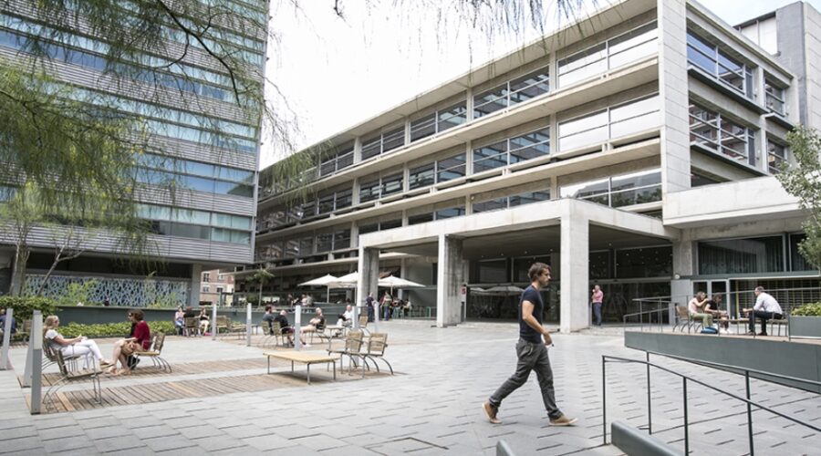 incentivar el comercio local y generar empleo de calidad