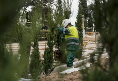 plantación del verde en el Laberinto Vegetal del Parque del Laberinto de Horta